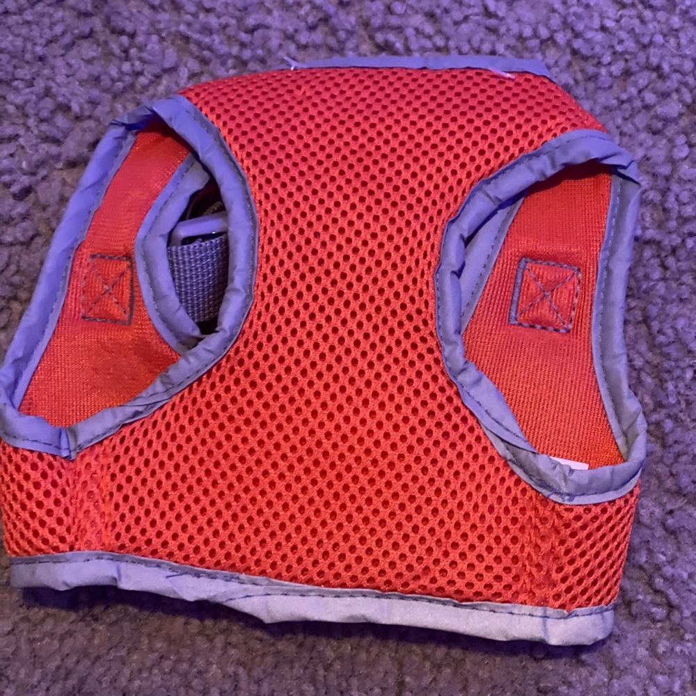 Small dog harness